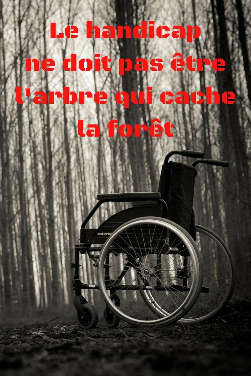 Le handicap ne doit pas être l'arbre qui cache la forêt